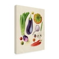 thumbnail image 2 of Grace Popp 'Vegetable Garden I' Canvas Art, 2 of 3