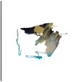thumbnail image 1 of Visiones orientales 12, 1 of 4