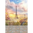 thumbnail image 2 of ABPHOTO 5x7ft Photography Backdrop Paris Eiffel TowerModern Building Road Lamps Metal Fence Vintage Brick Floor Blue Sky White Cloud Birds Nature Romantic Photo Background Backdrops, 2 of 4