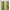 Fleecy Green, variant on oneOone Cotton Flex Fabric Bayadere Stripe Print Fabric By Yard 40 Inch Wide