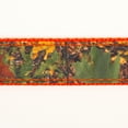thumbnail image 3 of Country Brook Design® 3/4 inch Southern Forest Camo on Neon Orange Nylon Webbing, 50 Yards, 3 of 3
