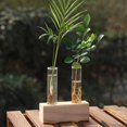 thumbnail image 4 of Terrario de vidrio para plantas de propagación con soporte de madera para el hogar. 2 tubos, 4 of 7