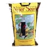 NYJER SEED