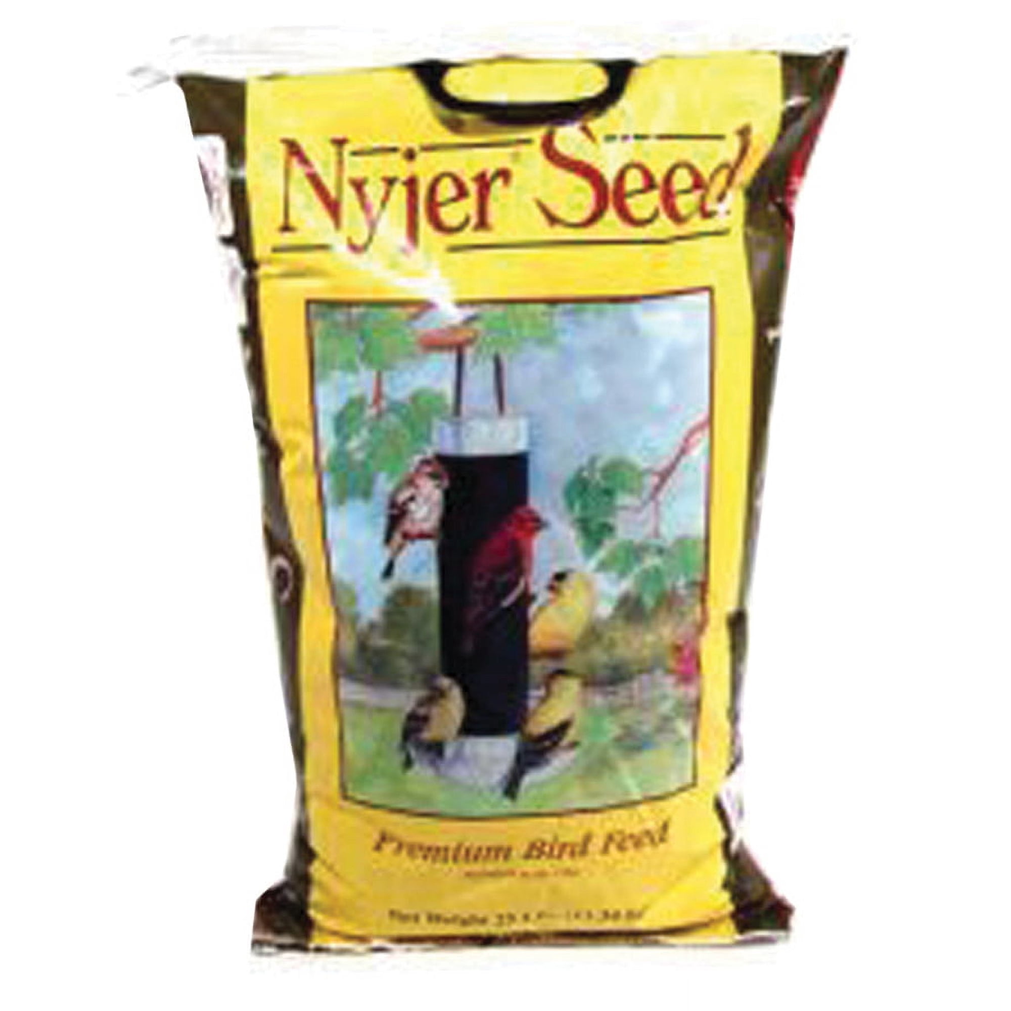 NYJER SEED