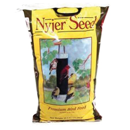 NYJER SEED