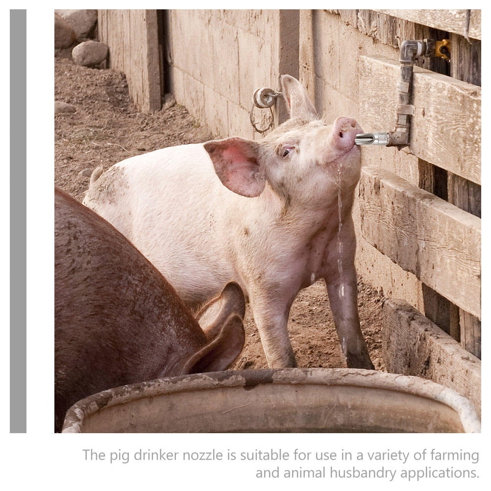 OFFIGAM 5Pcs Farm Animal Waterers Stainless Steel Automatic Water Supply Silver Animal Husbandry