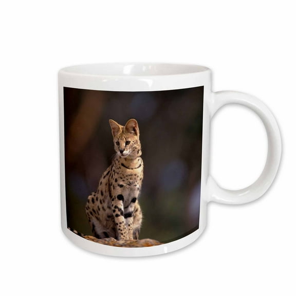3drose, Africa, African Savannah. Serval Captive - Na02 Swe0026 - Stuart Westmorland, 15oz Mug