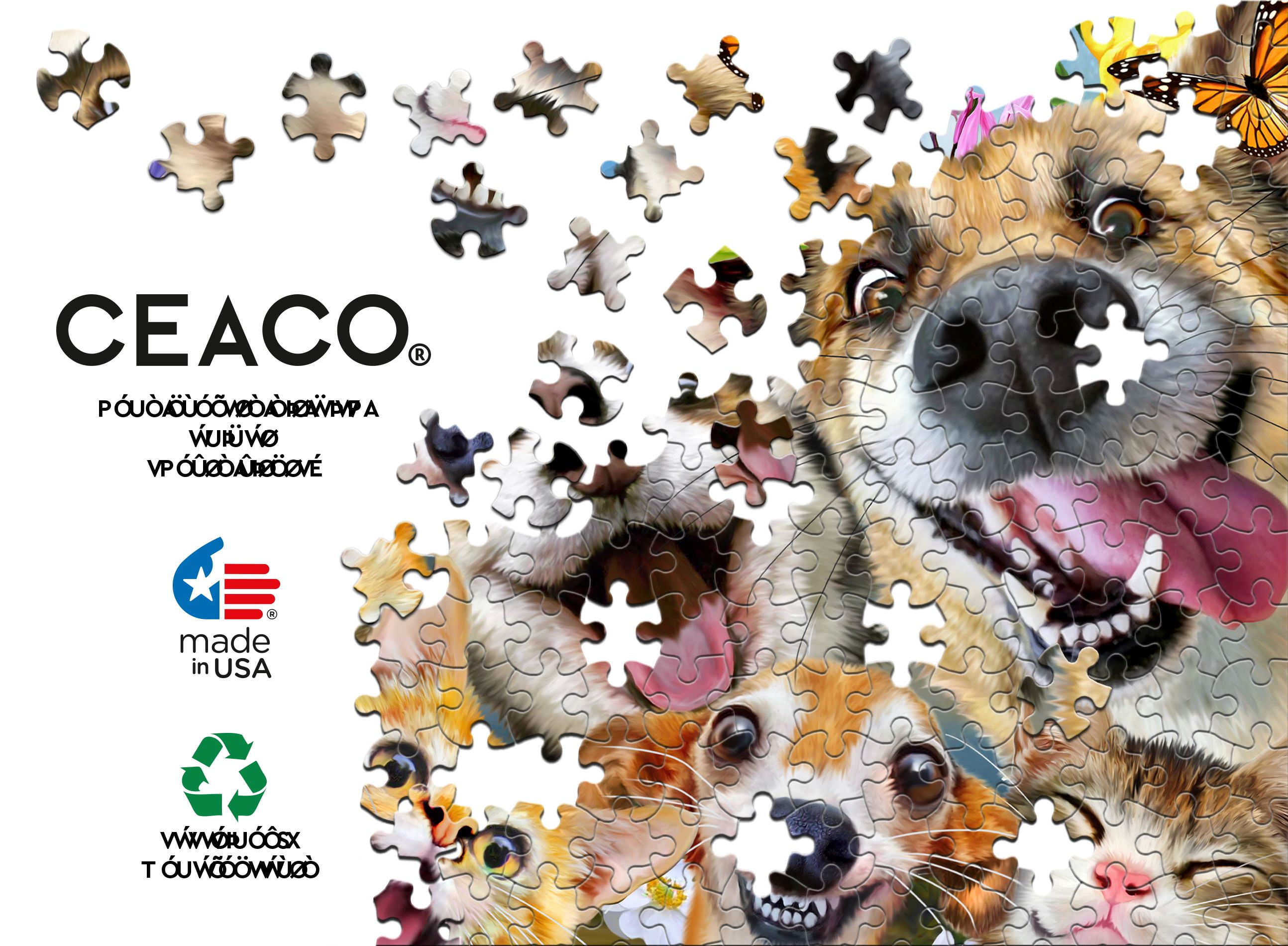 Ceaco Companion Selfies Howard Robinson 300 Piece Interlocking Jigsaw Puzzle