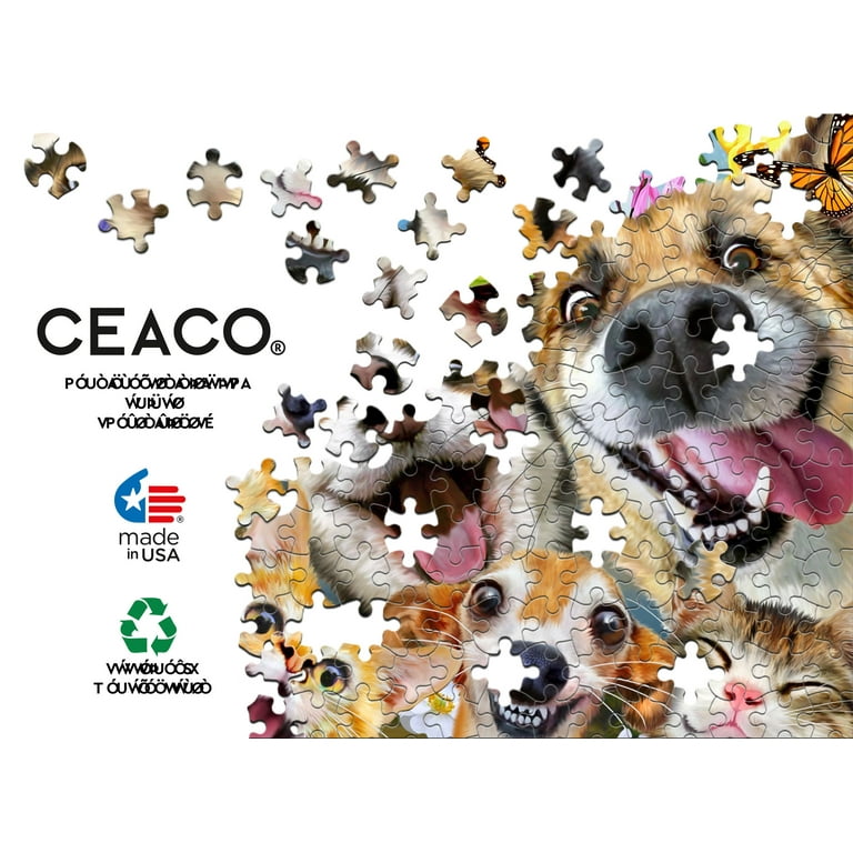 Ceaco Companion Selfies Howard Robinson 300 Piece Interlocking