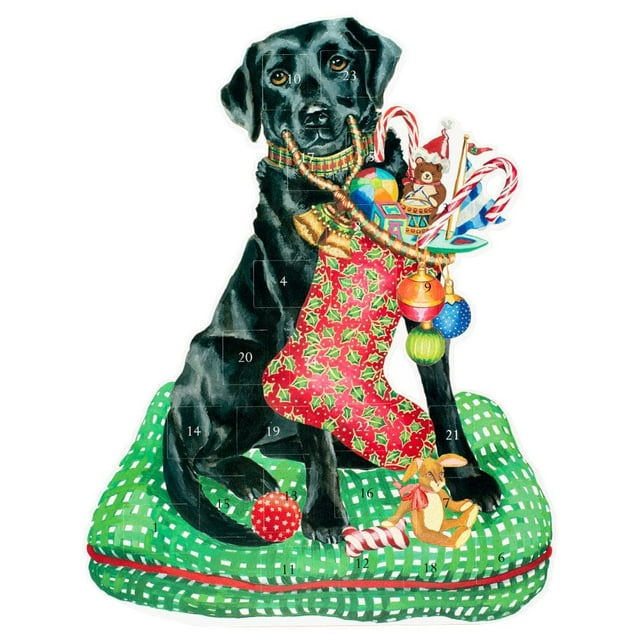 Caspari Christmas Lab Advent Calendar - 1 Each
