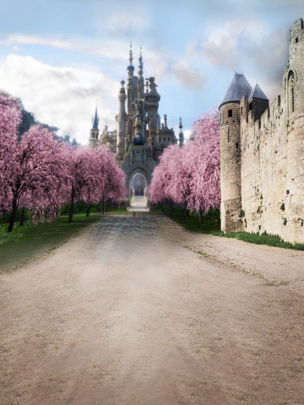 MOHome Polyster Castle Scenic Photography Backdrop Spring Pink Cherry