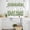 White Light Green Fruit Green, variant on St. Patrick's Day Kitchen Curtains Sets for Windows 24 Inch Length, Spring Green Shamrock Botanical Beige Rod Pocket Window Treatments Tier Curtains and Valances Set for Bedroom/Bathroom