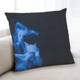 thumbnail image 1 of Ahgly Company Coussin Abstrait Fumée Intérieur, 18 Pouces par 18 Pouces, 1 of 6