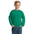 thumbnail image 3 of Hanes Boys EcoSmart Fleece Crew Neck Sweatshirt, Sizes XS-XL, 3 of 9