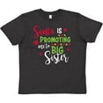 thumbnail image 3 of Inktastic Santa is Promoting Me to Big Sister Youth T-Shirt, 3 of 5