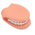 thumbnail image 4 of Marioneta de boca con lengua, 28 dientes, de silicona, para demostración de terapia del habla, modelo de dientes para la enseñanza infantil., 4 of 14