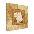 thumbnail image 2 of Trademark Fine Art 'Magnolia 2 Beige' Canvas Art by Pablo Esteban, 2 of 3
