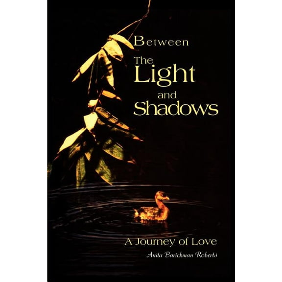 Between The Light and Shadows: A Journey of Love, (Paperback)