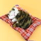 thumbnail image 1 of Juguete de animales de peluche de gato de simulación Wmkox8yii con alfombra de tela gato durmiente, 1 of 1