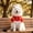 Red XL, variant on LACKUST Dog Costume with Hat, Pet Halloween Costume for Small Medium Dogs and Cats, Cosplay Outfit Red White Gold Robe Set, S M L XL