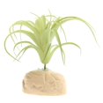 thumbnail image 2 of Planta de hojas de plástico para de agua , planta ultrarrealista con base, escondite para peces, , anfibios 2 Salvador Plantas de terrario de reptiles, 2 of 8
