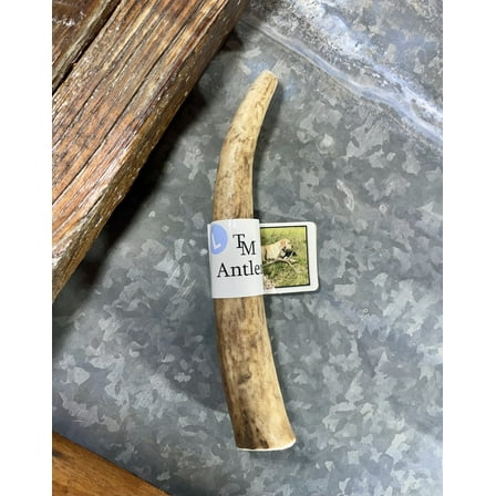 TM Antlers Large Whole Elk Dog Chew – Durable, Naturally Shed Treat for Medium & Large Dogs (Whole: 6”-8”, Large, 1-Pack)