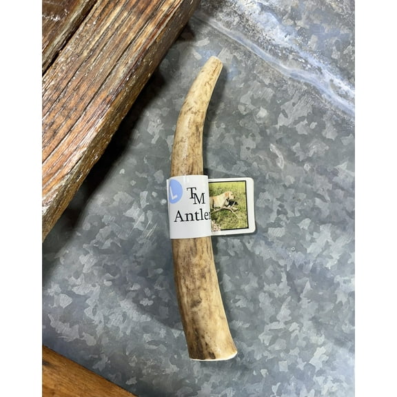 TM Antlers Large Whole Elk Dog Chew – Durable, Naturally Shed Treat for Medium & Large Dogs (Whole: 6”-8”, Large, 1-Pack)
