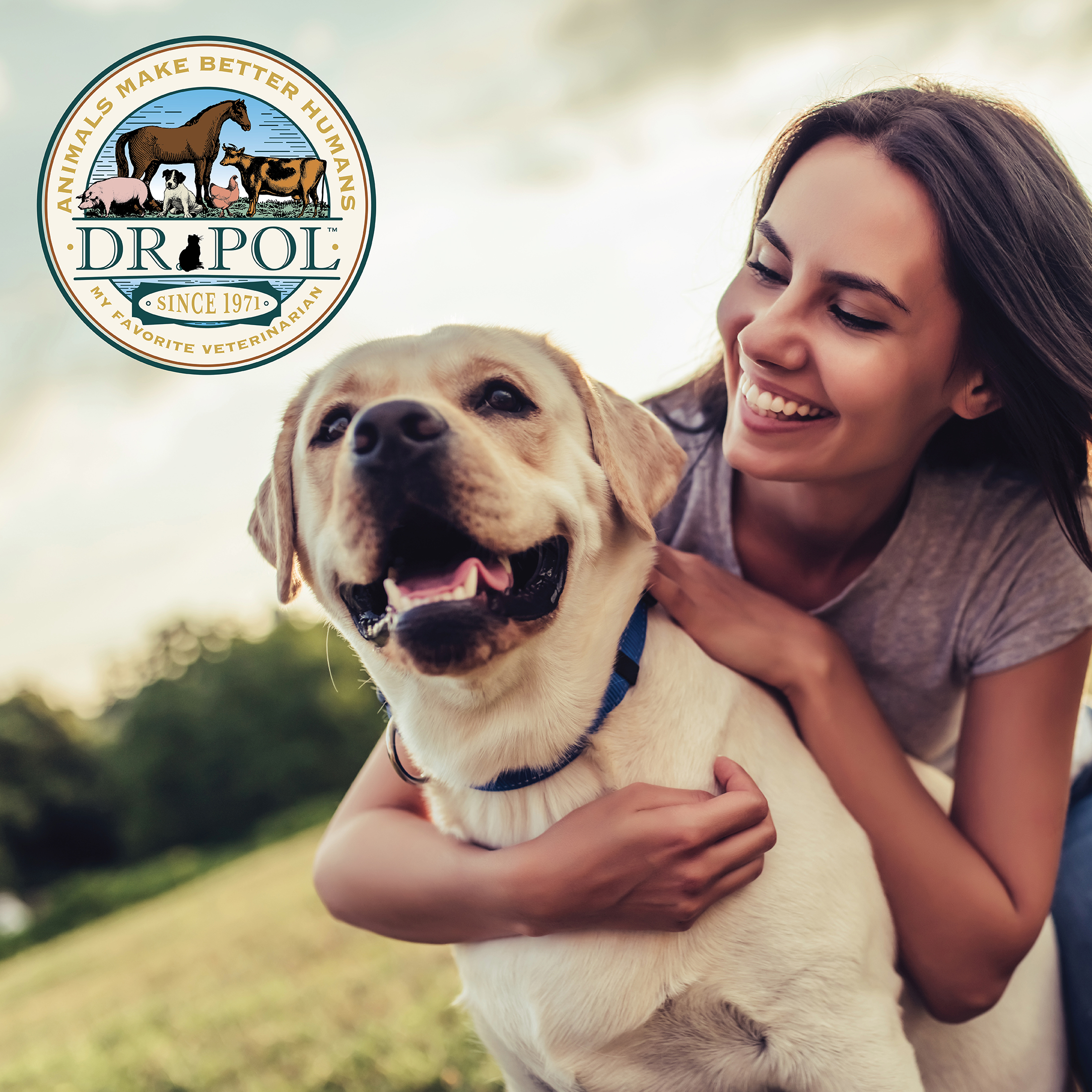 Dr. Pol Limited Ingredient Dry Dog Food, Chicken Recipe photo 6
