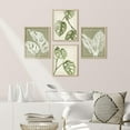 thumbnail image 4 of PixonSign Framed Wall Art, Tropical Monstera Sage Green Leaf Posters, Set of 4 Emerald Plant Wall Decor Prints, Nature Wilderness Wall Décor Fine Artwork for Living Room, Bedroom - 8"x10" Natural, 4 of 5