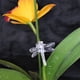 thumbnail image 5 of 100 pinzas para orquídeas, pinzas de soporte para plantas de jardín, pinzas para orquídeas libélulas, pinzas portátiles y bonitas para enredaderas de flores (transparentes), 5 of 5
