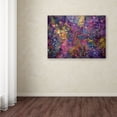 thumbnail image 3 of Trademark Fine Art 'Clarity of Insight' Canvas Art by MusicDreamerArt, 3 of 3