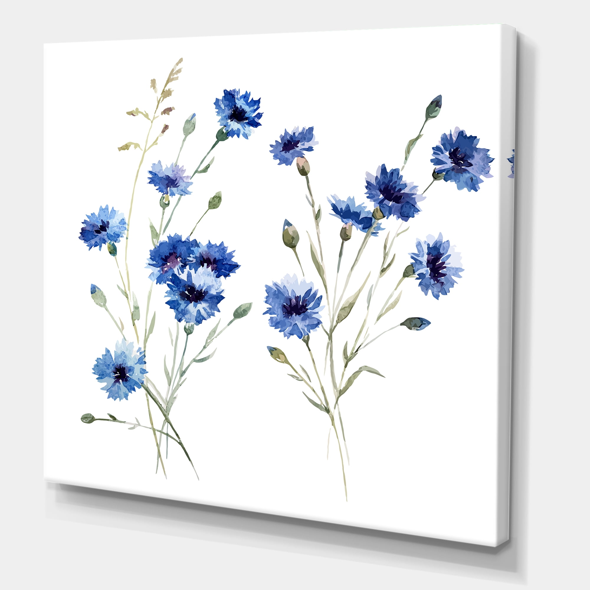 Designart ' Blue Cornflowers With Green Leaves On White III ' Traditional Canvas Wall Art Print