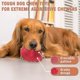 thumbnail image 5 of Juguetes para perros, indestructibles, robustos, chirriantes, juguetes para masticar para regalo de masticadores agresivos Heilwiy, 5 of 5