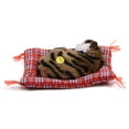 thumbnail image 4 of Gato de simulación niño dormido Jadeshay Juguete de gato de simulación Verdadera excelencia, 4 of 8