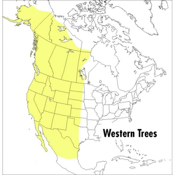 Peterson Field Guides A Peterson Field Guide to Western Trees: Western United States and Canada, (Paperback)