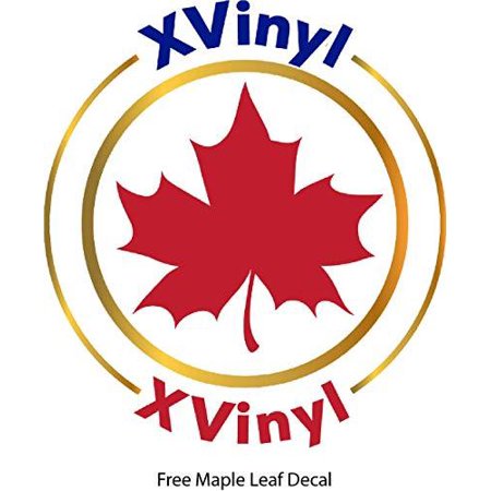 oracal transfer tape paper roll for vinyl adhesive application tape