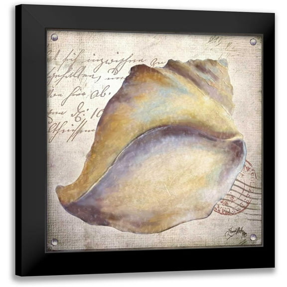 Medley, Elizabeth 12x12 Black Modern Framed Museum Art Print Titled - Beach Shell II