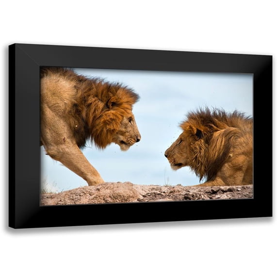 Bibi, Tamir 18x13 Black Modern Framed Museum Art Print Titled - Face to Face