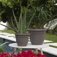 thumbnail image 2 of Bloem Ariana 8" Self-Watering Plastic Planter - Rolled Rim Indoor/Outdoor Garden Pot, Peppercorn, 2 of 7