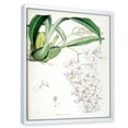 thumbnail image 3 of Designart 'Ancient White Orchid II' Traditional Framed Canvas Wall Art Print, 3 of 5