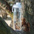 thumbnail image 2 of Botella de agua Edmyre Clear de plástico Tritan de 950 ml, sin BPA, 2 of 8