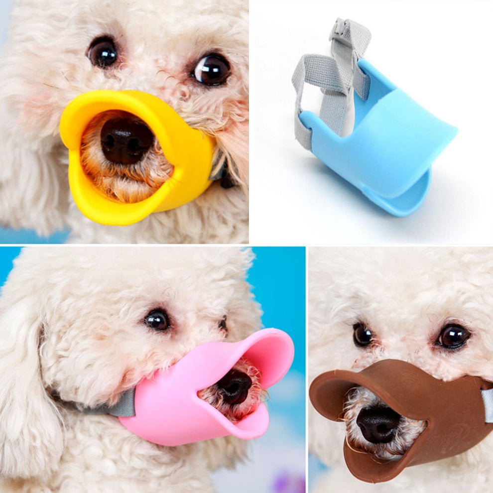 cute dog muzzle