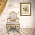 thumbnail image 3 of Studio, Sd Graphics 15x18 Gold Ornate Wood Framed with Double Matting Museum Art Print Titled - Vintage Bird II, 3 of 4