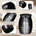 thumbnail image 1 of Transemion Compact And Delicate Mini Pet Urns For Beautiful Memorial Thoughtful Gifts, 1 of 6