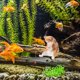 thumbnail image 5 of Adorno De Pesca De Gatito Adorno de pesca de gatito, tanque de gatito, decoración de paisajismo para decoración de hogar y oficina, 5 of 5
