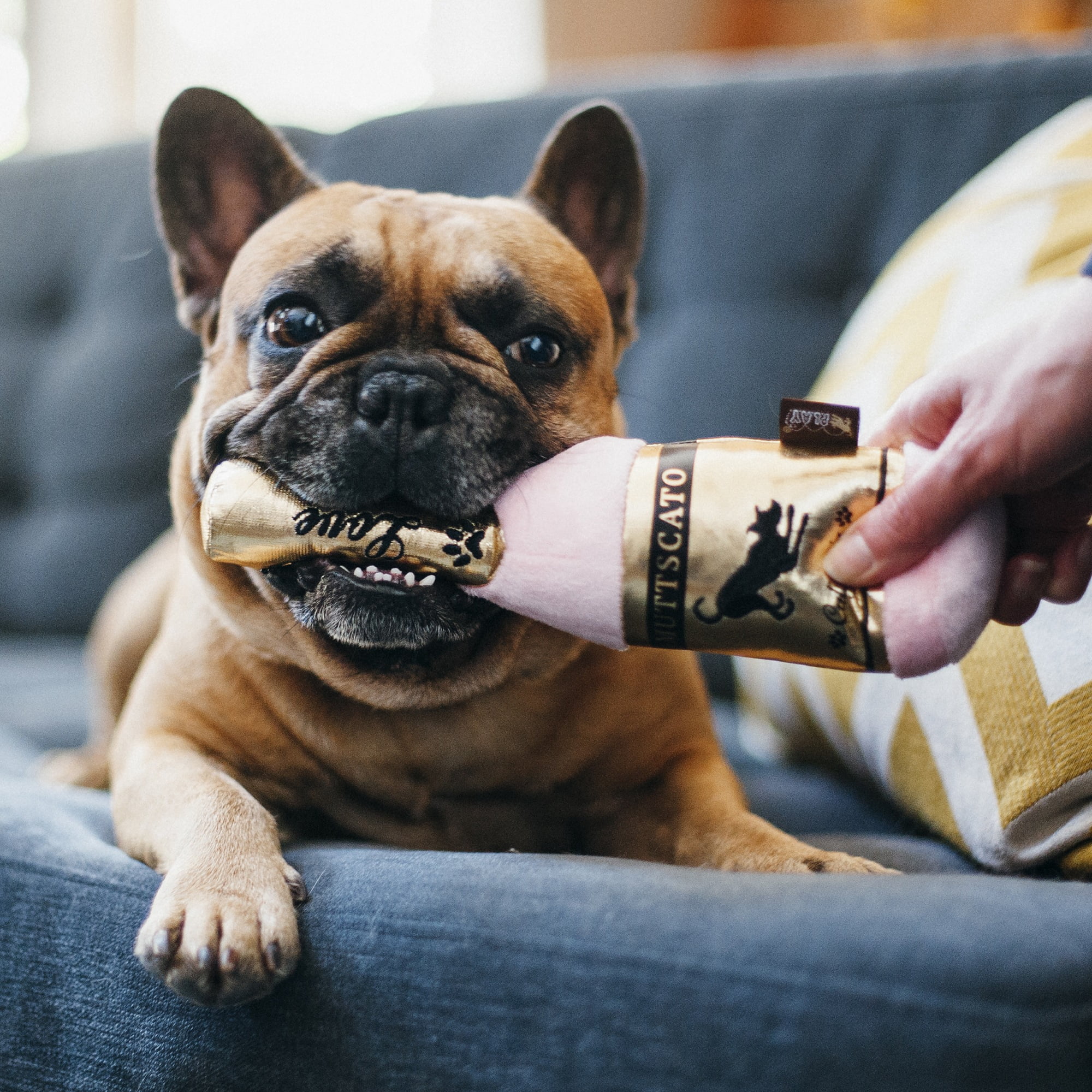 Puppy Love Collection: Barking Bubbly Pet Chew Toy