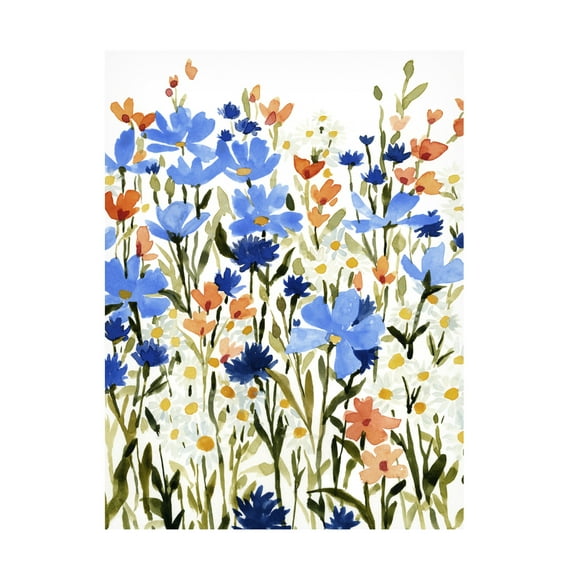 Emma Caroline 'Bright Wildflower Medley II' Canvas Art