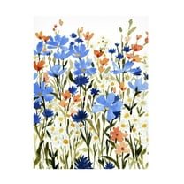 Emma Caroline 'Bright Wildflower Medley II' Canvas Art