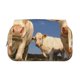 thumbnail image 2 of Easygdp Cows Cattles para Estuche de Lápices con Tapa Flip, Suministros de Oficina y Universidad para Adolescentes y Adultos, 2 of 7