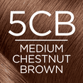 thumbnail image 6 of L'Oreal Paris Excellence Creme Permanent Hair Color, 5CB Medium Chestnut Brown, 6 of 9